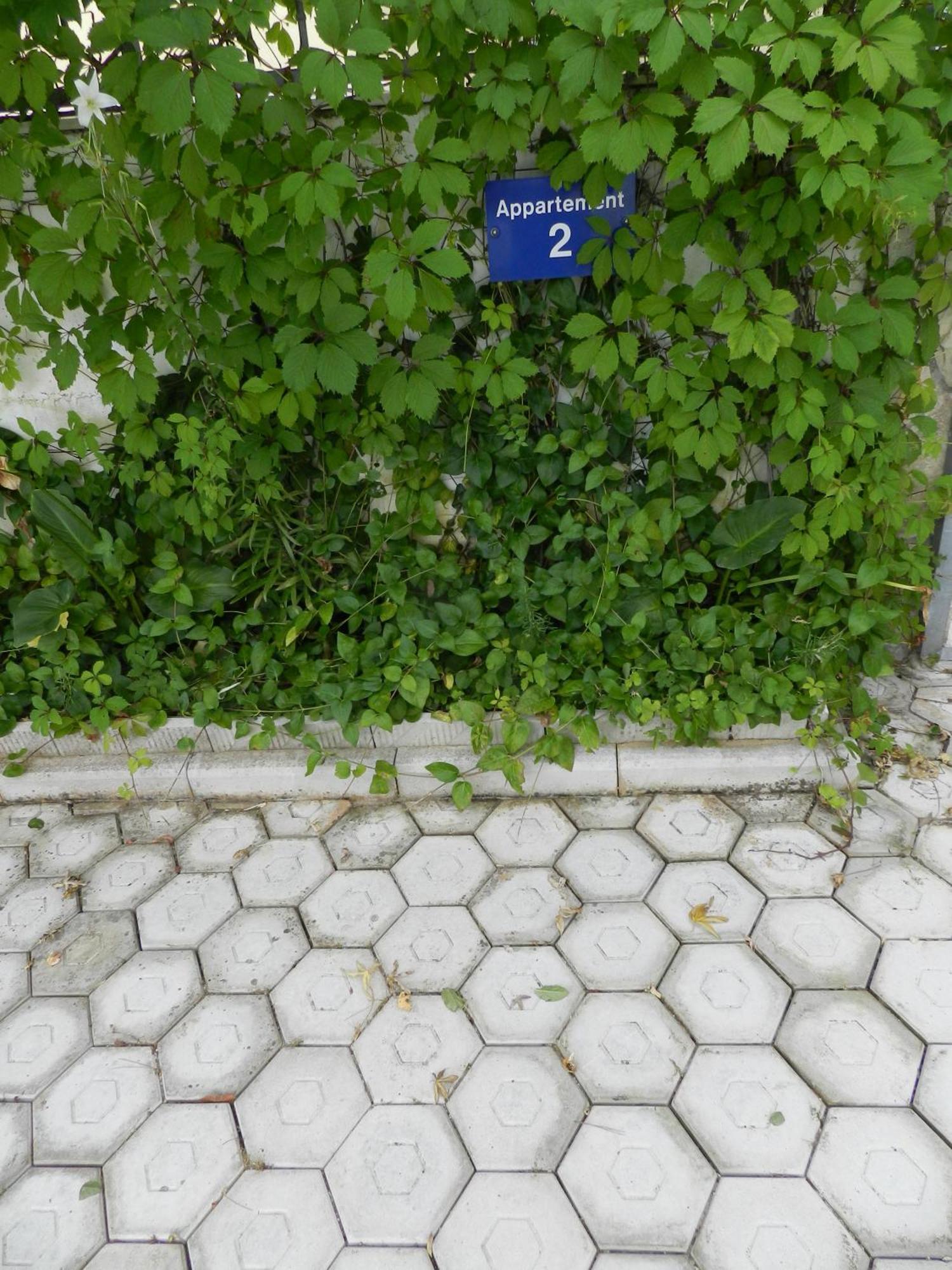 Apartments Kaskada Marina Dış mekan fotoğraf